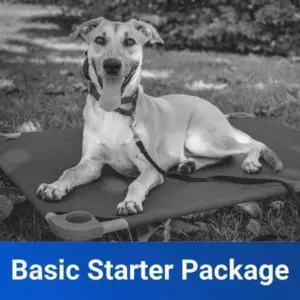 basic obedience starter