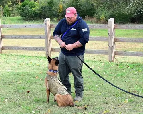 jake preparing a leash for a dog