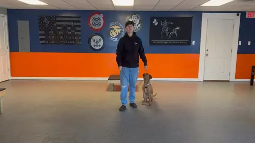 A man in a black hoodie and blue pants stands next to a small brown dog in a spacious room with blue and orange walls, decorated with military-themed plaques and an American flag.