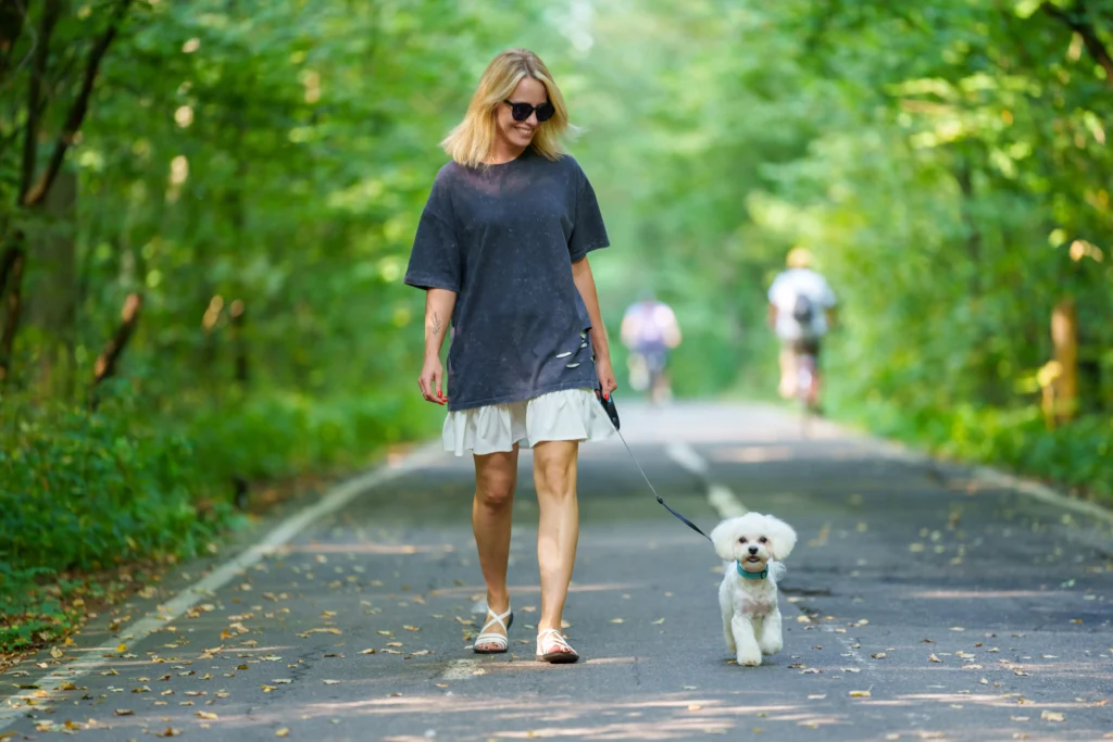 A woman in sunglasses walks a small white dog on a leash down a tree-lined path, representing successful off-leash training in a natural setting.