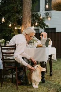 Summer Foods for Dogs