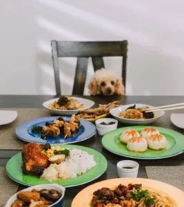 Summer Foods for Dogs