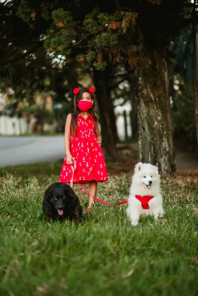 Training Tips for Families With Kids and Dogs
