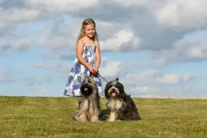 Training Tips for Families With Kids and Dogs