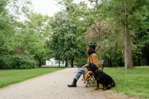 Socialization 101: Proven Confidence Boost for Dogs
