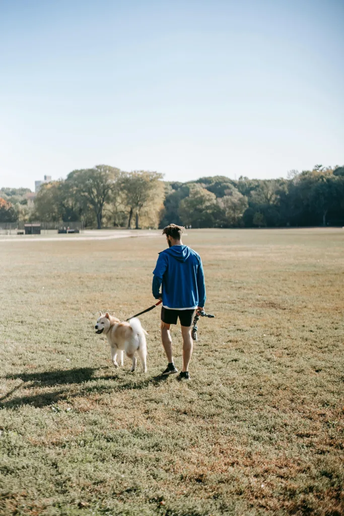 Mastering Loose Leash Walking Before Fall Adventures Begin