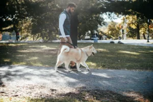 Mastering Loose Leash Walking Before Fall Adventures Begin