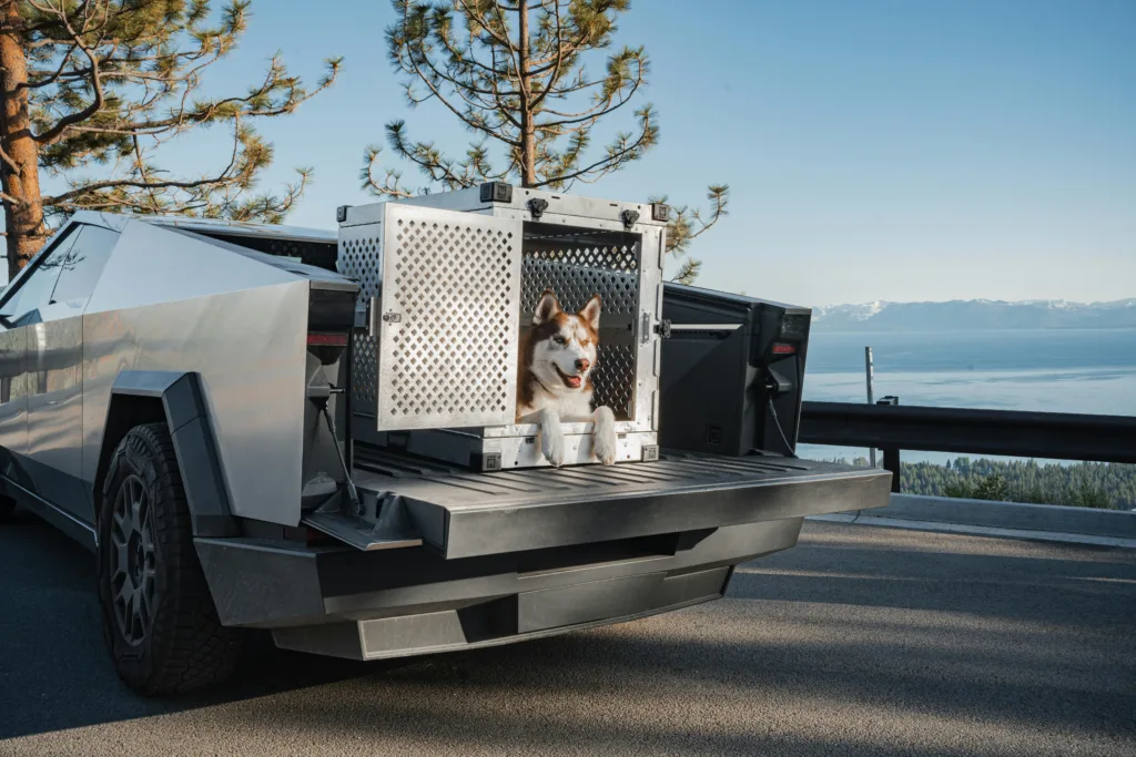 Crate Training 101: The Simple Positive Approach
