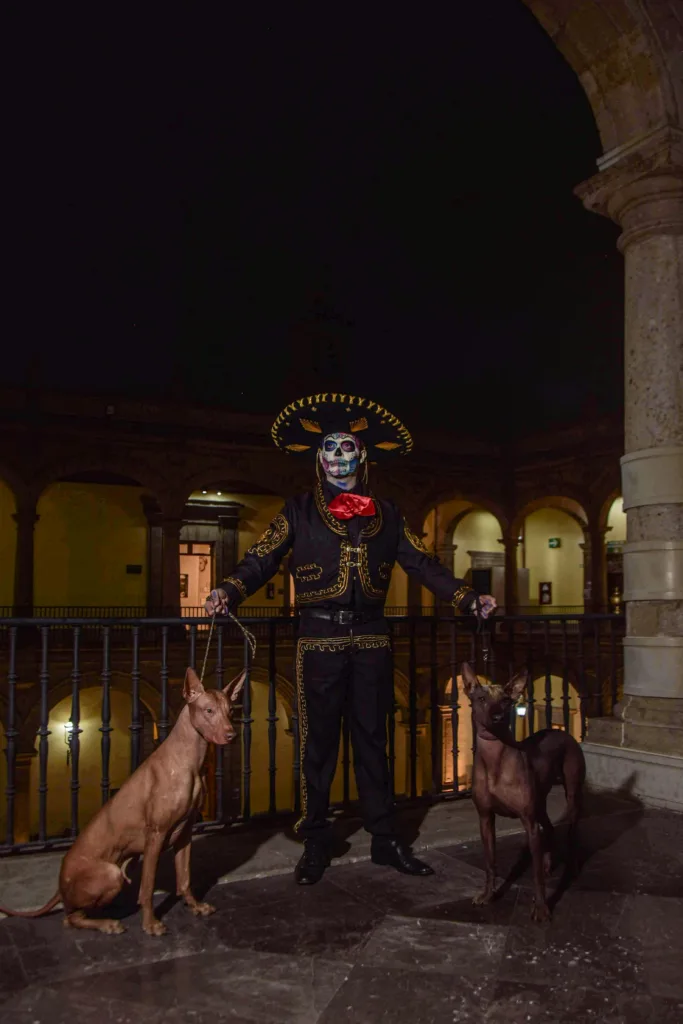 Spooky Halloween with Dogs: Fun Costumes, Candy, and Chaos 